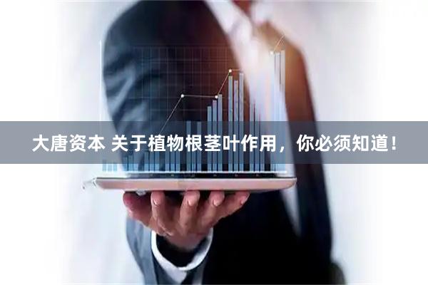 大唐资本 关于植物根茎叶作用，你必须知道！