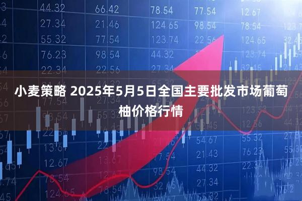 小麦策略 2025年5月5日全国主要批发市场葡萄柚价格行情